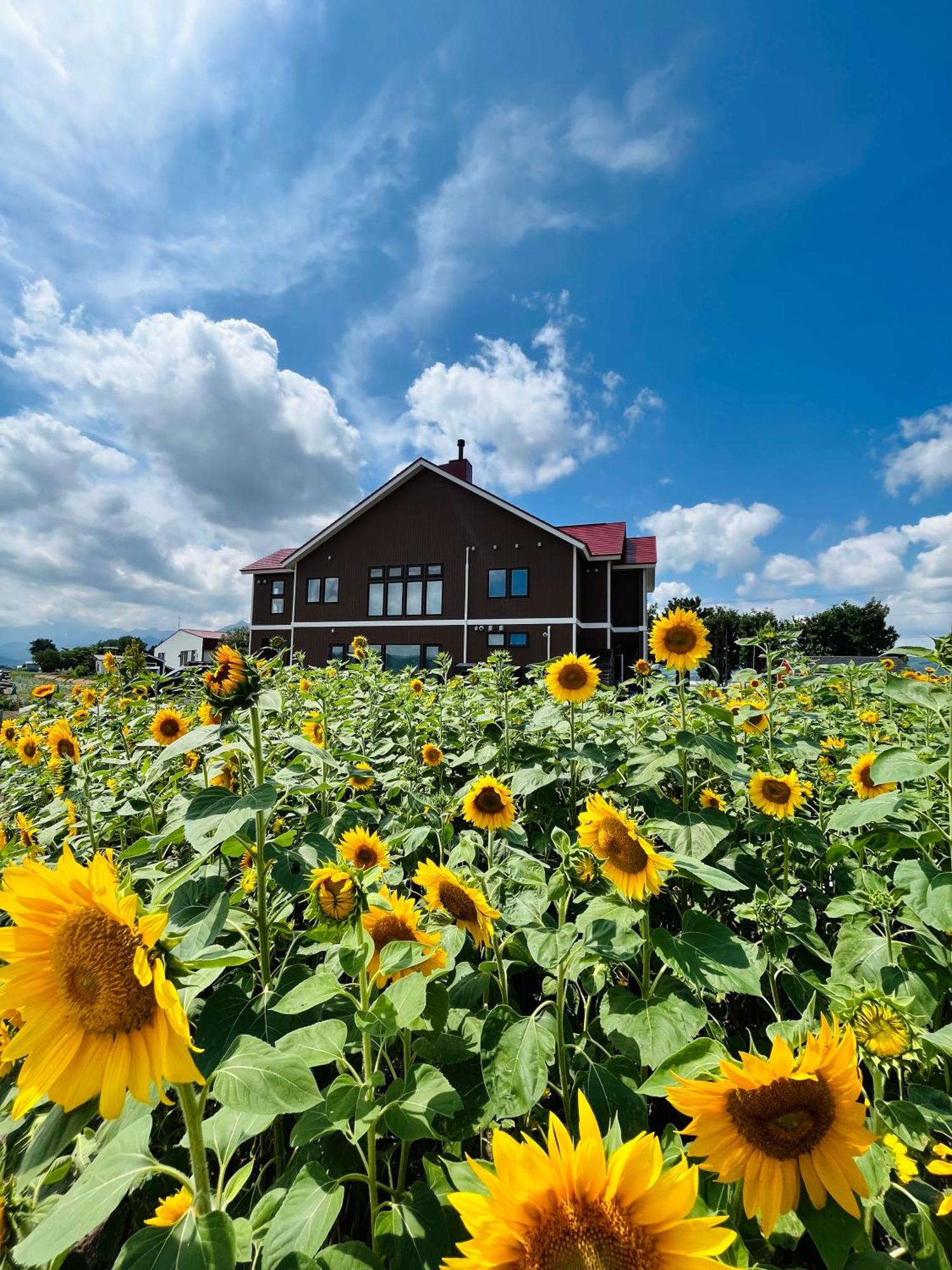 Shooting Star The Bed & Breakfast NakaNakafurano Zewnętrze zdjęcie